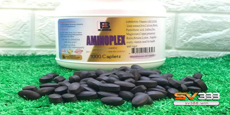 Thuốc tăng lực cho gà đá Aminoplex