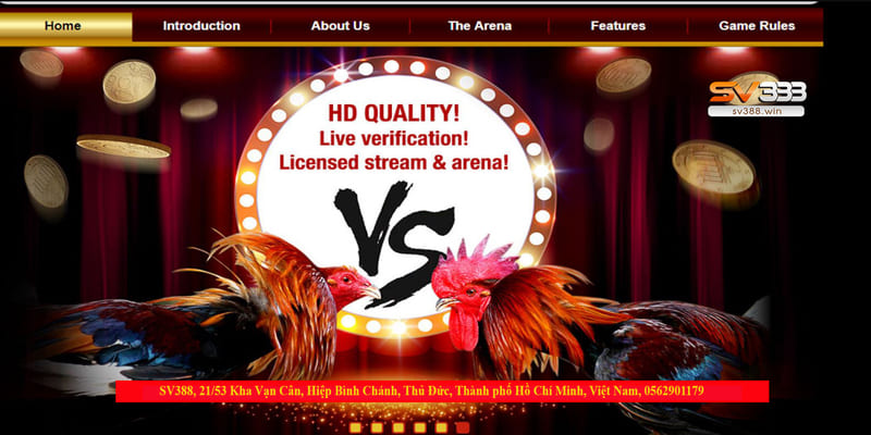 S128 đá gà – Trang đăng ký đá gà mạng hàng đầu Việt Nam 1 Trang S128 đá gà mang đến nhiều trận đấu kịch tính
