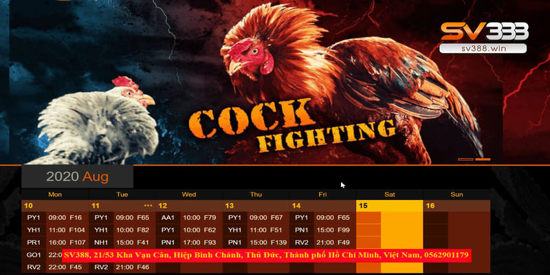 S128 đá gà – Trang đăng ký đá gà mạng hàng đầu Việt Nam 2 Trang S128 đá gà mang đến nhiều trận đấu kịch tính