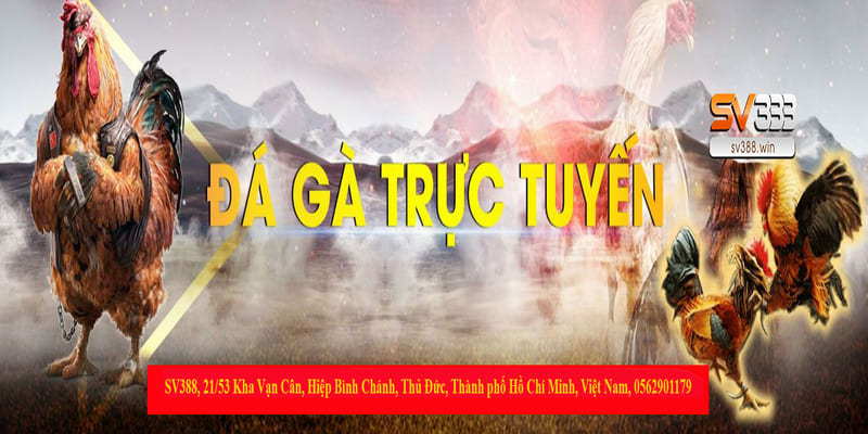 S128 đá gà – Trang đăng ký đá gà mạng hàng đầu Việt Nam 3 Đăng ký tài khoản xem trực tuyến đá gà